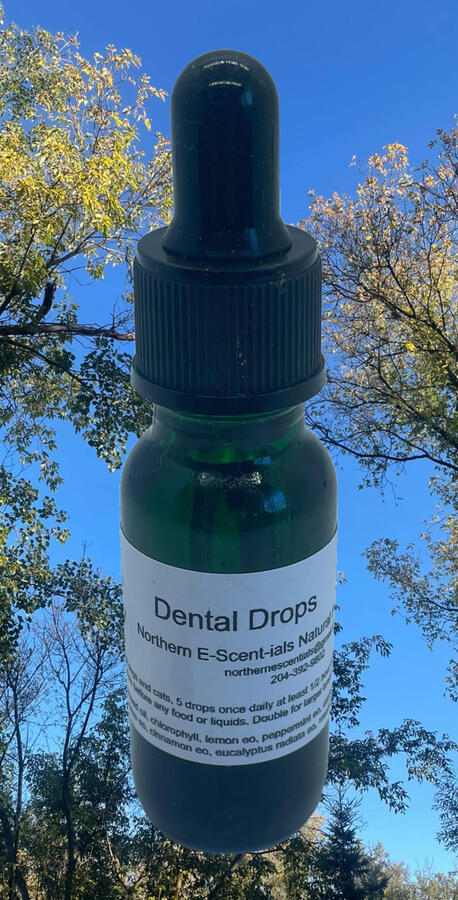 Dental Drops Dental Drops