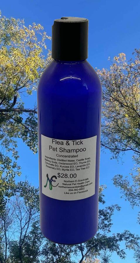 Flea & Tick Shampoo Flea & Tick Shampoo